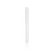   Disposable Culture tube 160x15.5x0.8 mm soda-lime-glass, pack of 250