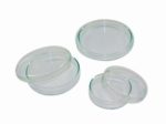 LLG-Petri dishes 12x40mm, glass pack of 10