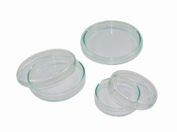 LLG-Petri dishes 25x150mm, glass pack of 10