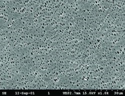 Membran filters,Polyamid 0,2um pack of 100, NL 16 47mm