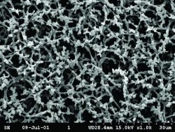 Membrane filters,cellulose acetat,pack of 100 diam. 25 mm,pore 0.45 µm
