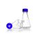   DURAN Produktions Baffle flasks 250 ml GL 45, 4 bottom baffles, with membrane closure