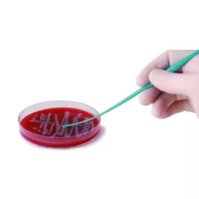   LLG-inokulációs hurok, PS, steril, egyvégű tű / egyvégű hurok, 1 µl, 10 db-os kiszerelés