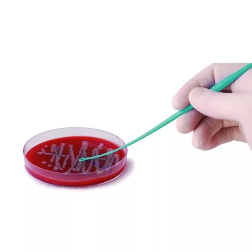 LLG-inokulációs hurok, PS, steril, egyvégű tű / egyvégű hurok, 1 µl, 10 db-os kiszerelés