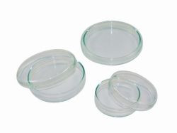 LLG-Petri dish 25x150mm, glass