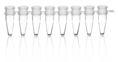 BRAND PCR-cső csíkok 8 PP att.single caps0,15 ml Low Profile qPCR 120 csíkokhoz BIO-CERT® PCR MINŐSÉG, 120 db-os csomag/zsák