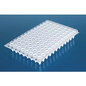   BRAND 24-lyukú PCR lemez, vékony falú0,2 ml, szoknya nélkül el.wells f.qPCR 40 db-os csomag.PP , fehér, BIO-CERT® PCR MINŐSÉG